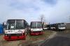 Częstochowa – Ikarus 280.70E #176, Ikarus 280.58 #358, Ikarus 412.08A #74, Ikarus 435.05C #360