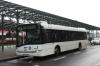 Toruń - Solaris Urbino 12 #567 Toruń - Solaris Urbino 12 #567