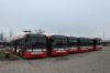 Częstochowa - Solbus SM12 Hybrid CNG #029, #019, #017, #030, #018(?) ,#024