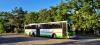 PKS Gdynia - Setra S319 UL #6601 PKS Gdynia - Setra S319 UL #6601