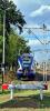 ED74-008 ED74-008
