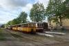 Nowy Dwór Gdański Wąskotorowy (2019-05-03, fot. 10) Nowy Dwór Gdański Wąskotorowy (2019-05-03, fot. 10)