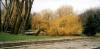 WPKiW (foto 5.4) „Przystań” WPKiW (foto 5.4) „Przystań”