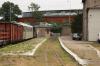 Gniezno Wąskotorowe (2022-08-20, fot. 11) Gniezno Wąskotorowe (2022-08-20, fot. 11)