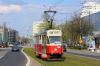 13N #308 13N #308