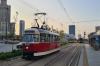 13N #795 13N #795