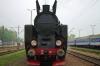 TKt48-191 TKt48-191