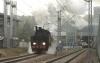 TKt48-191 TKt48-191