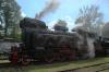 TKt48-191 TKt48-191