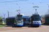 N8S #3006 N8S #3006