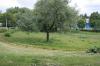 Łódź - Pętla Północna (6) Łódź - Pętla Północna (6)