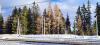 Štrbské pleso (2024-02-15, fot. 03) Štrbské pleso (2024-02-15, fot. 03)