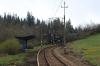 Pyzówka (2017-04-29, fot. 7) Pyzówka (2017-04-29, fot. 7)
