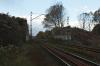 Gaj (2017-10-30, fot. 12) Gaj (2017-10-30, fot. 12)