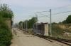 Kraków Złocień (2020-05-11, fot. 03) Kraków Złocień (2020-05-11, fot. 03)