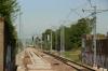 Kraków Złocień (2020-05-11, fot. 06) Kraków Złocień (2020-05-11, fot. 06)