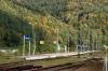 Piwniczna (2021-10-07, fot. 2) Piwniczna (2021-10-07, fot. 2)