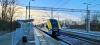 Podbory Skawińskie (2023-11-27, fot. 07) Podbory Skawińskie (2023-11-27, fot. 07)