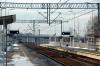 Kokotów (2025-01-06, fot. 2) Kokotów (2025-01-06, fot. 2)