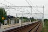 Zastów (2026-05-07, fot. 14) Zastów (2026-05-07, fot. 14)