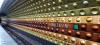Metro w Pradze - „Muzeum:” (2024-10-19, fot. 1) Metro w Pradze - „Muzeum:” (2024-10-19, fot. 1)