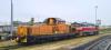 D.145.2025 D.145.2025
