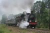 Tr5-65 Tr5-65