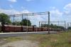 Nędza (2021-06-06, fot. 6) Nędza (2021-06-06, fot. 6)