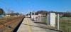 Dąbrowa Górnicza Sikorka (2024-03-09, fot. 08) Dąbrowa Górnicza Sikorka (2024-03-09, fot. 08)