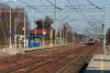 Dąbrowa Górnicza Sikorka (2024-03-09, fot. 04) Dąbrowa Górnicza Sikorka (2024-03-09, fot. 04)