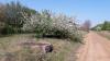 Jaroszewo (2019-04-29, fot. 2) Jaroszewo (2019-04-29, fot. 2)