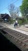 Kotomierz (2019-04-30, fot. 1) Kotomierz (2019-04-30, fot. 1)