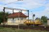 Maksymilianowo (2019-07-02, fot. 3) Maksymilianowo (2019-07-02, fot. 3)