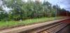 Otłoczyn (2022-07-24, Fot. 1) Otłoczyn (2022-07-24, Fot. 1)