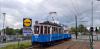 SN1 #37 + PN3 #555 SN1 #37 + PN3 #555