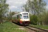 EN81-006 EN81-006