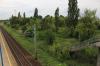 Koło (2017-08-04, fot. 4) Koło (2017-08-04, fot. 4)