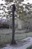 Rijak (2015-11-29, fot. 17) Rijak (2015-11-29, fot. 17)