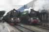 Pt47-112 i PM36-2 Pt47-112 i PM36-2
