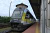 SA134-021 SA134-021