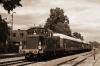 SM30-507 SM30-507