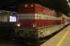 SP32-206 SP32-206