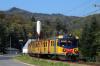 EN71-001 EN71-001