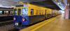 EN71-001 EN71-001