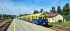 EN71-001 EN71-001
