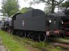 Tr202-19 Tr202-19