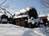 Tr202-19 Tr202-19