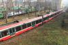ED74-003 ED74-003