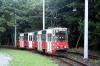 805Na#316 805Na#317 805Na#316 805Na#317