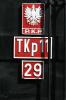 TKp11-29 TKp11-29